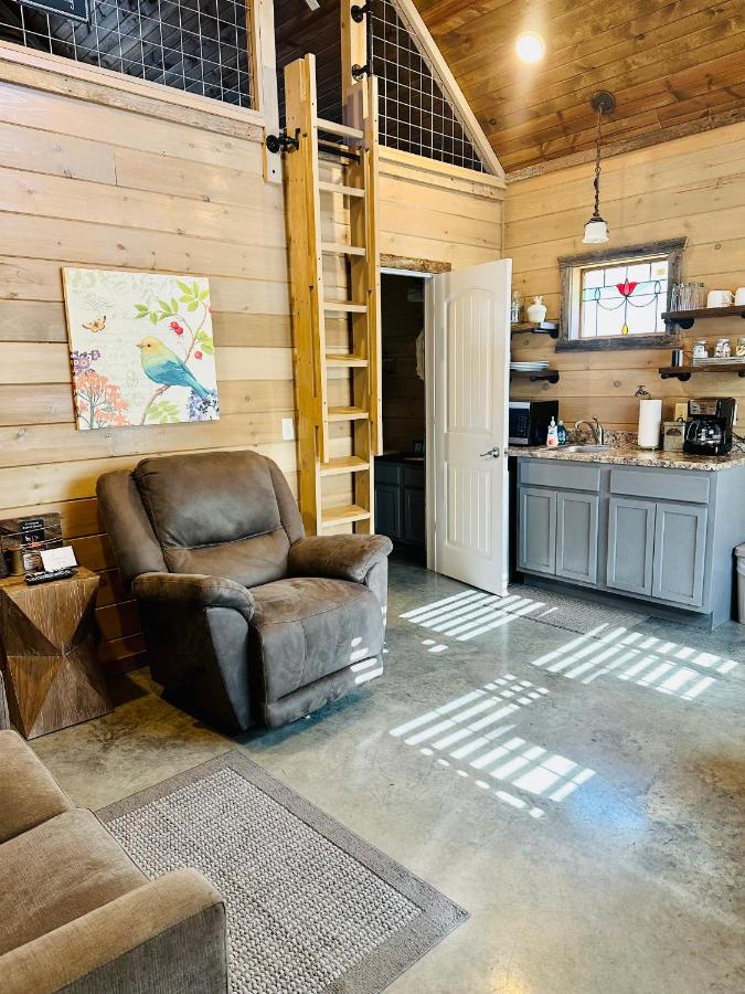 | Knotty Squirrel Cabins