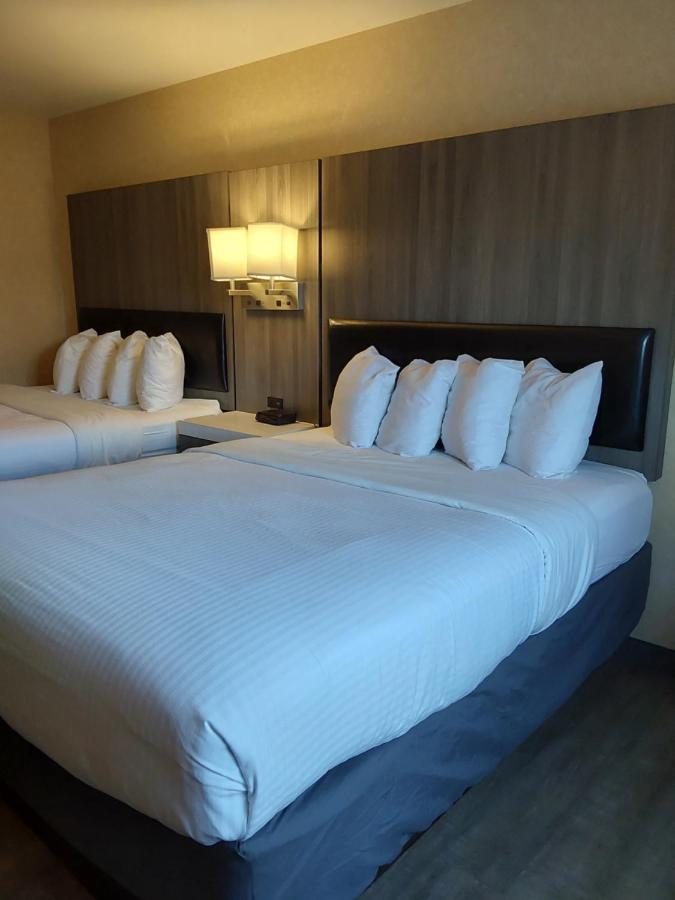 Queen Room with Two Queen Beds at Lavissh Inn & Suites
