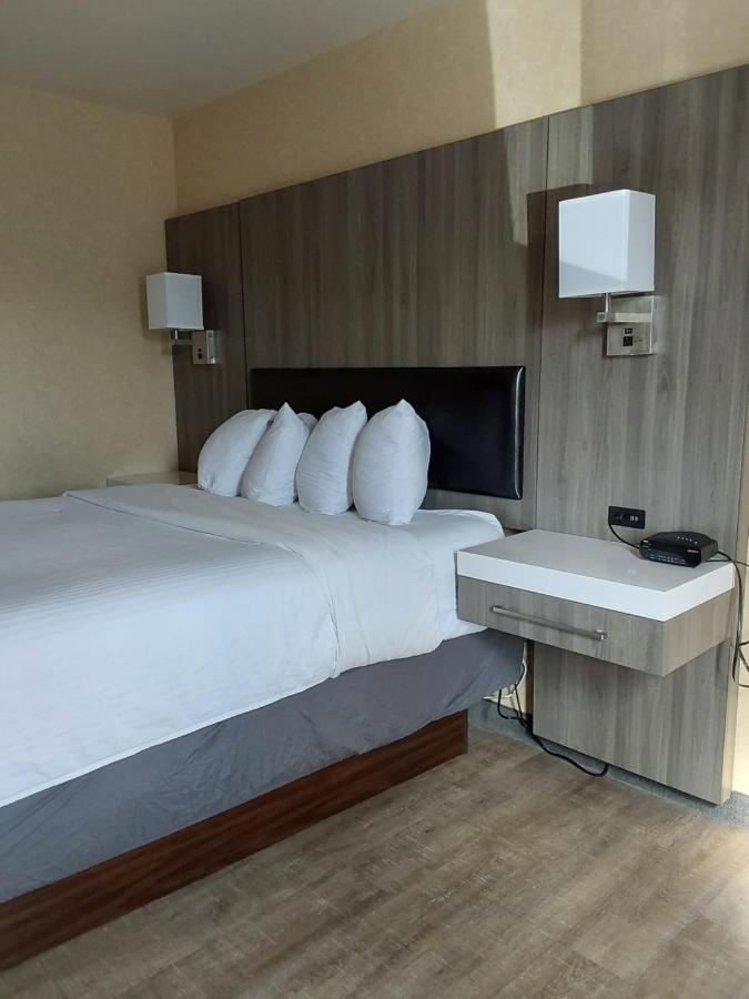 Queen Room at Lavissh Inn & Suites
