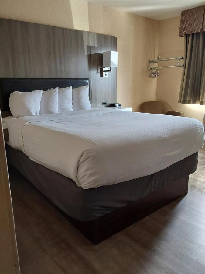 King Room at Lavissh Inn & Suites