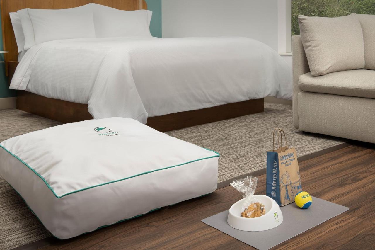 Queen Studio with Two Queen Beds and Sofa Bed at Element by Marriott Portland Beaverton