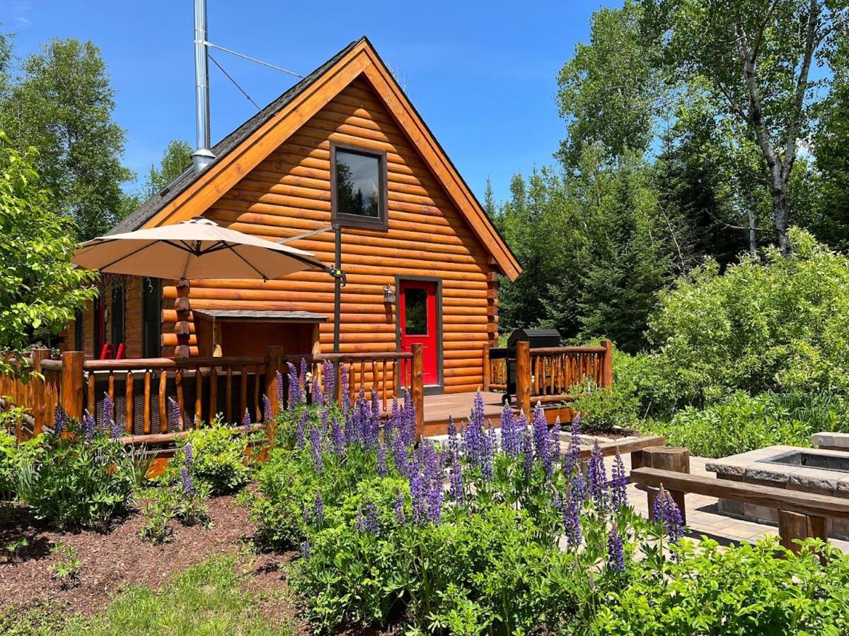 | BC Log cabin with private beach, river, fire pit, AC, wifi, onsite trails, ski slope views