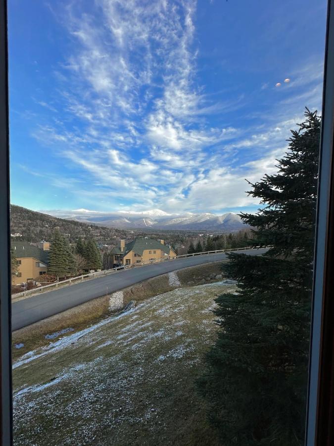 | C2 Luxurious townhome, stunning views, AC, stone fireplace, beautiful kitchen STEPS TO SKI TRAIL