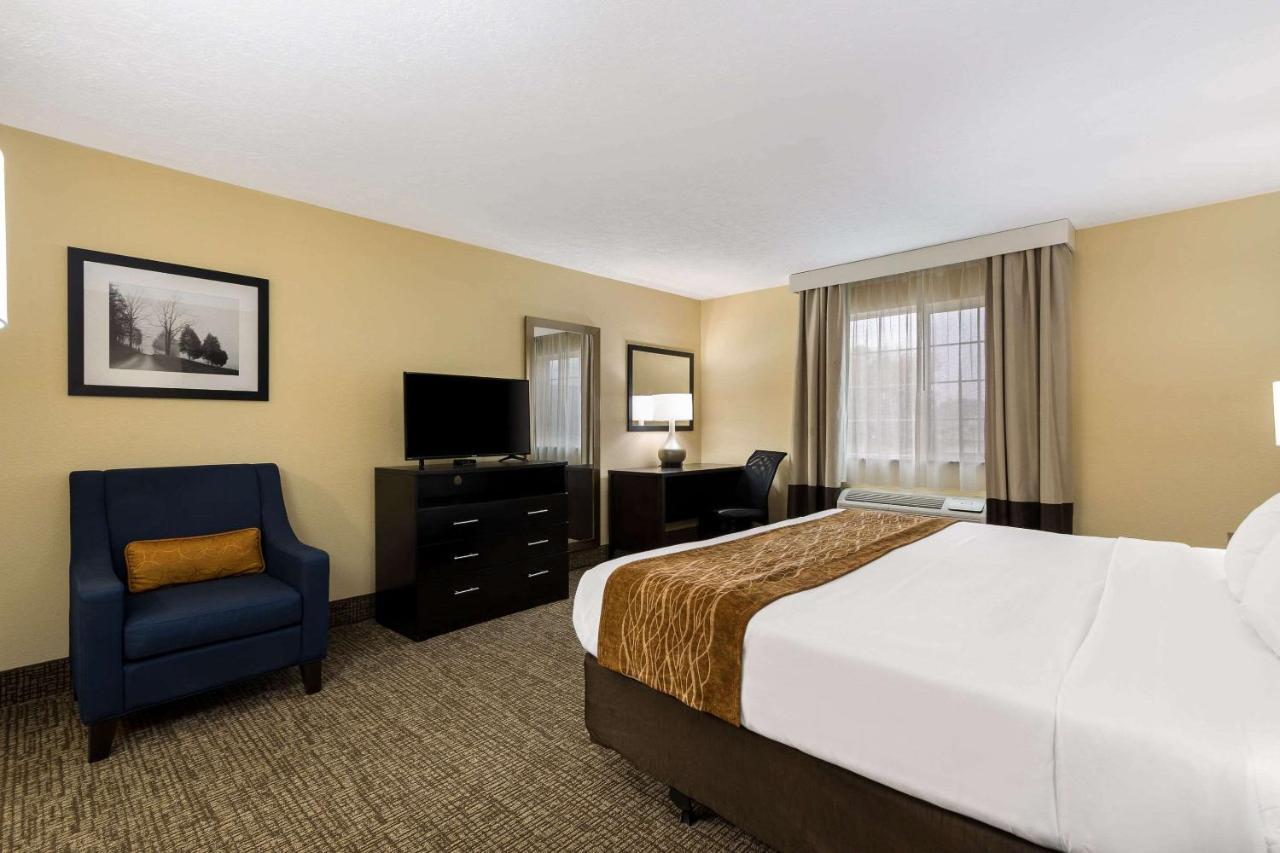 Standard King Room - Non-Smoking at Comfort Inn Yankton SD
