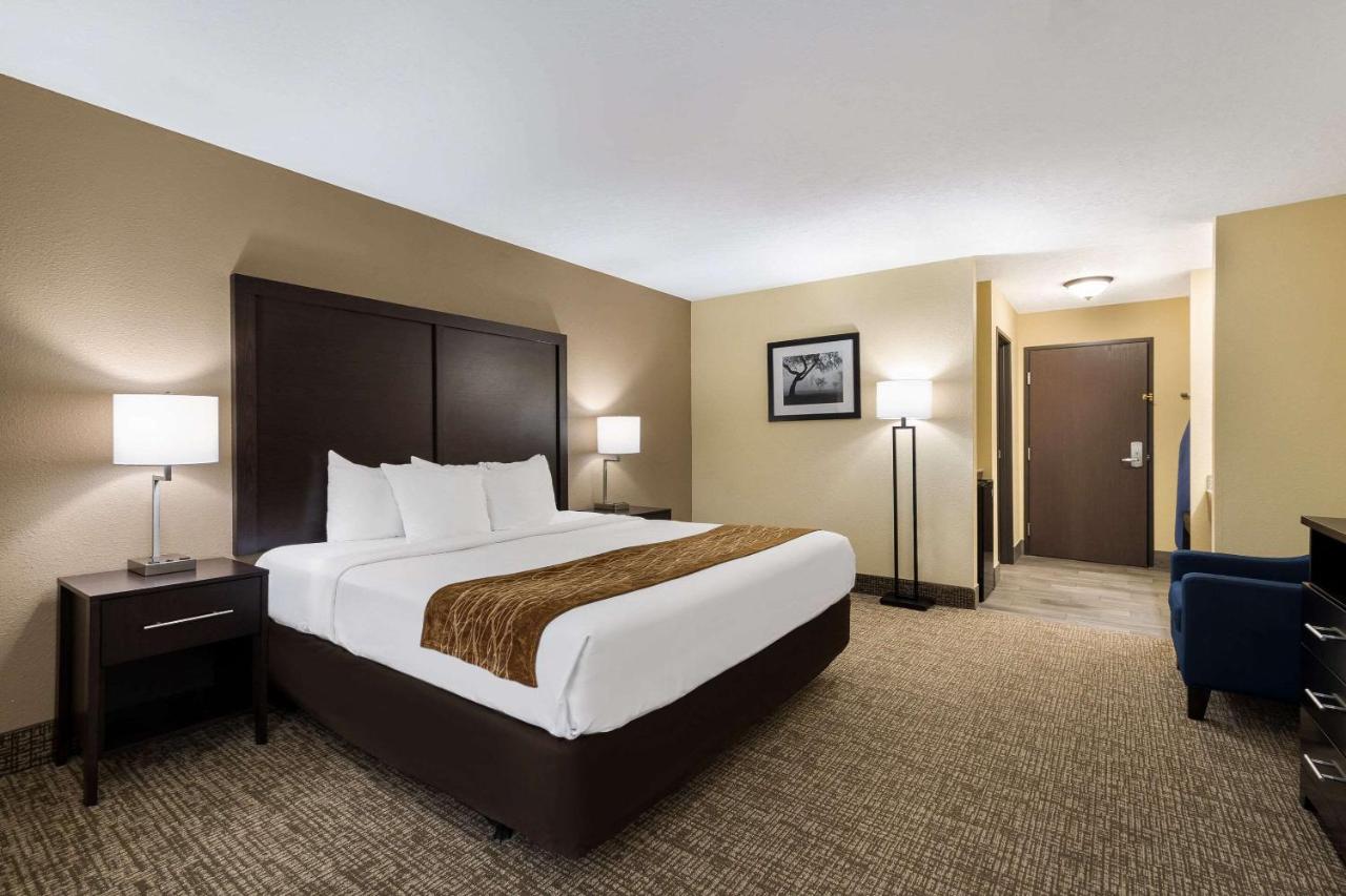 Standard King Room - Non-Smoking at Comfort Inn Yankton SD