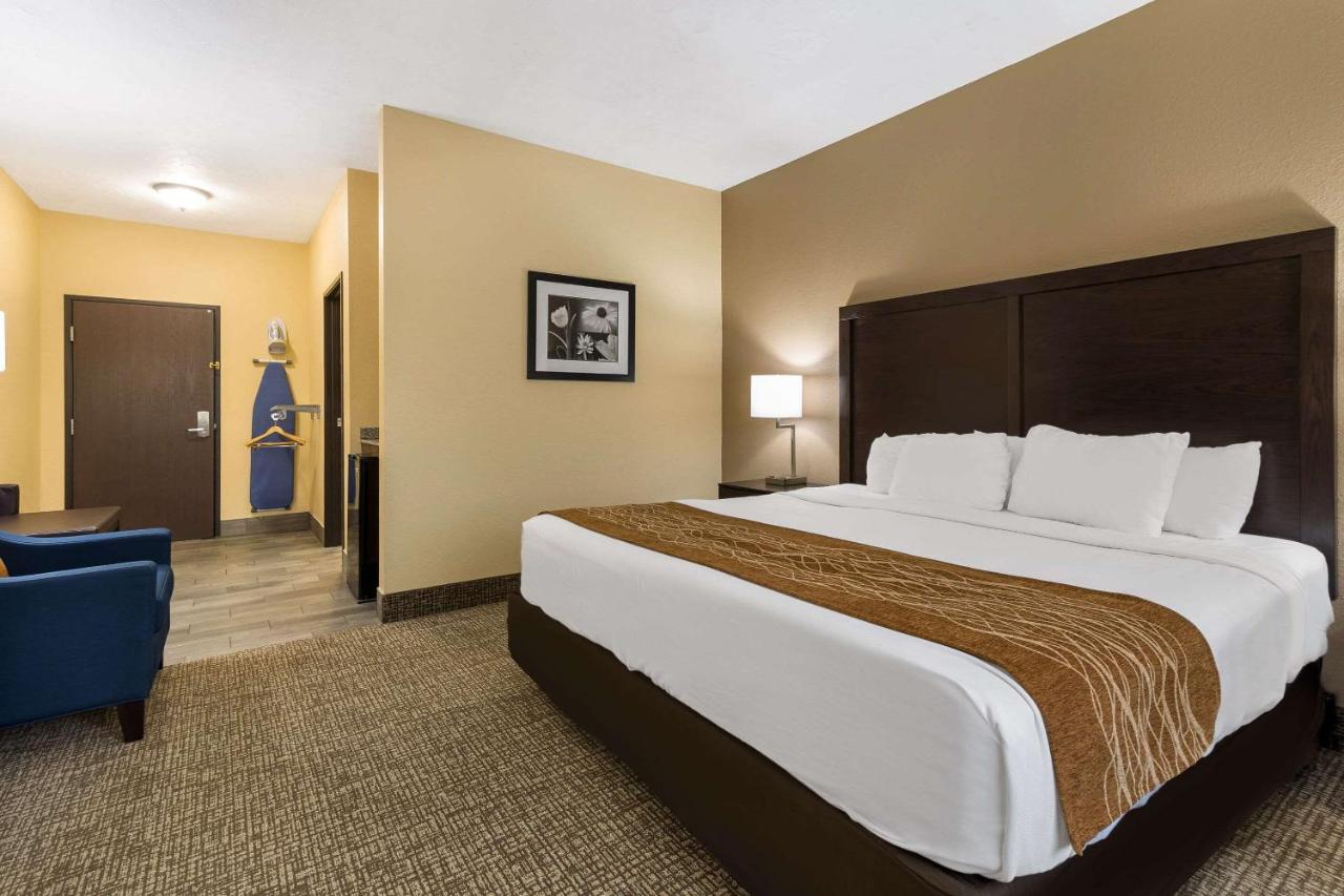 King Room - Disability Access - Non-Smoking at Comfort Inn Yankton SD