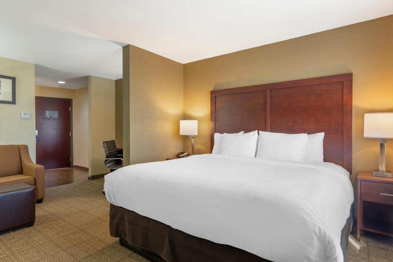King Suite - Non-Smoking at Comfort Suites Locust Grove Atlanta South