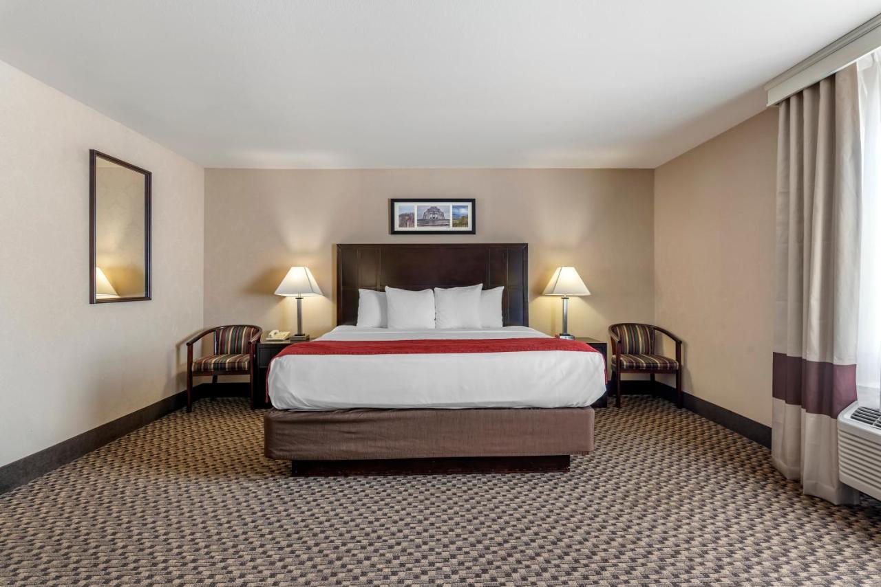 Suite with 1 King Bed and 2 Queen Beds - Non-Smoking Pet Free at Comfort Inn Troutdale - Portland East