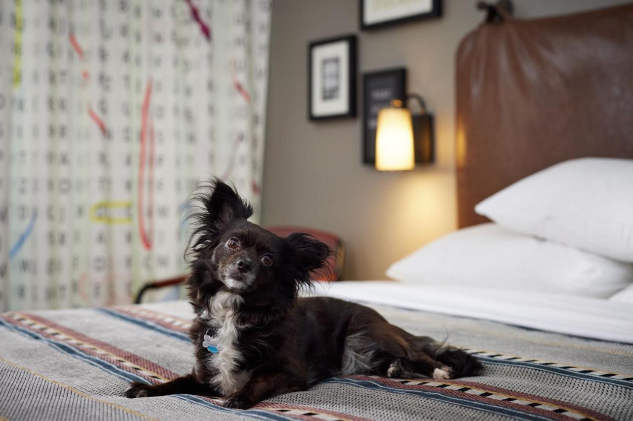 Queen Room with 2 queen beds and Courtyard View at Moxy Austin - University