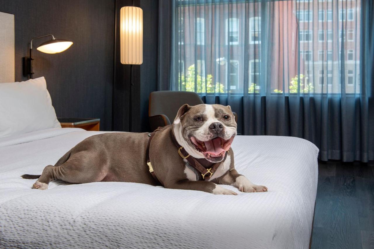 | Courtyard by Marriott Washington, DC Dupont Circle