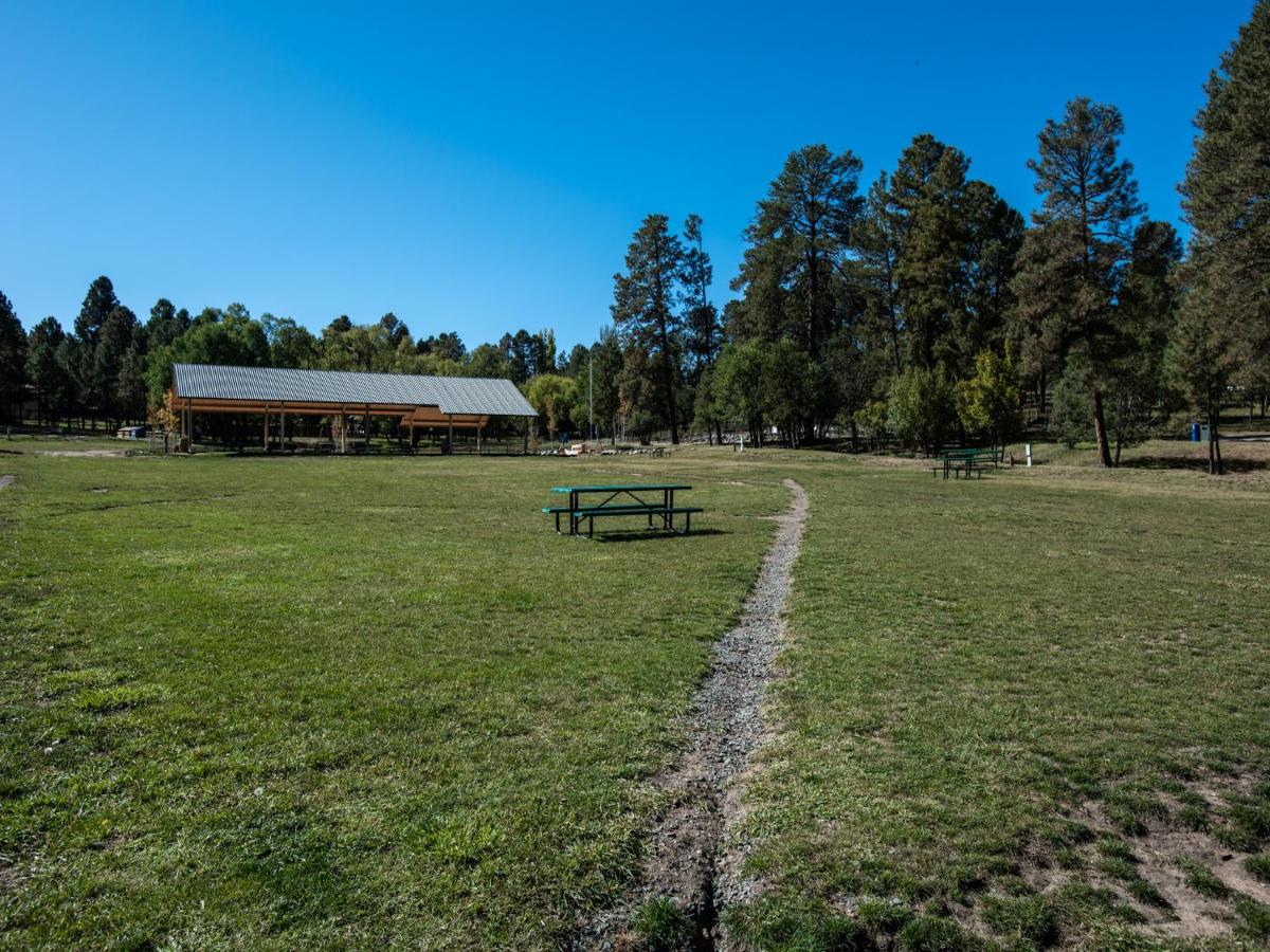 | Apache Village 6, King Studio with Sleeper Sofa, Sleeps 3
