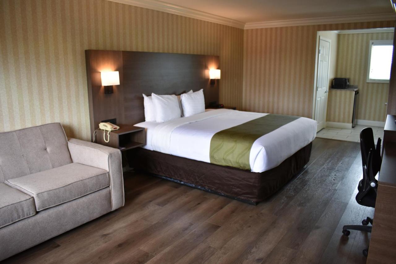 Standard Room, 1 King Bed, Sofa Bed, Non Smoking at Quality Inn & Suites Anaheim Maingate