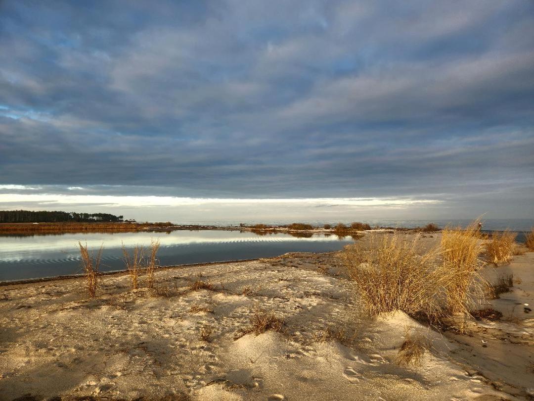 | Foster's Bethel Beach Inn