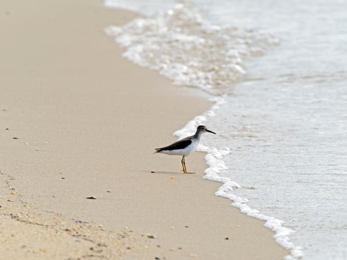 | Foster's Bethel Beach Inn