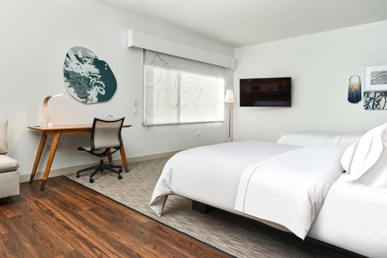 Queen Studio with Two Queen Beds and Sofa Bed at Element by Marriott Chattanooga East