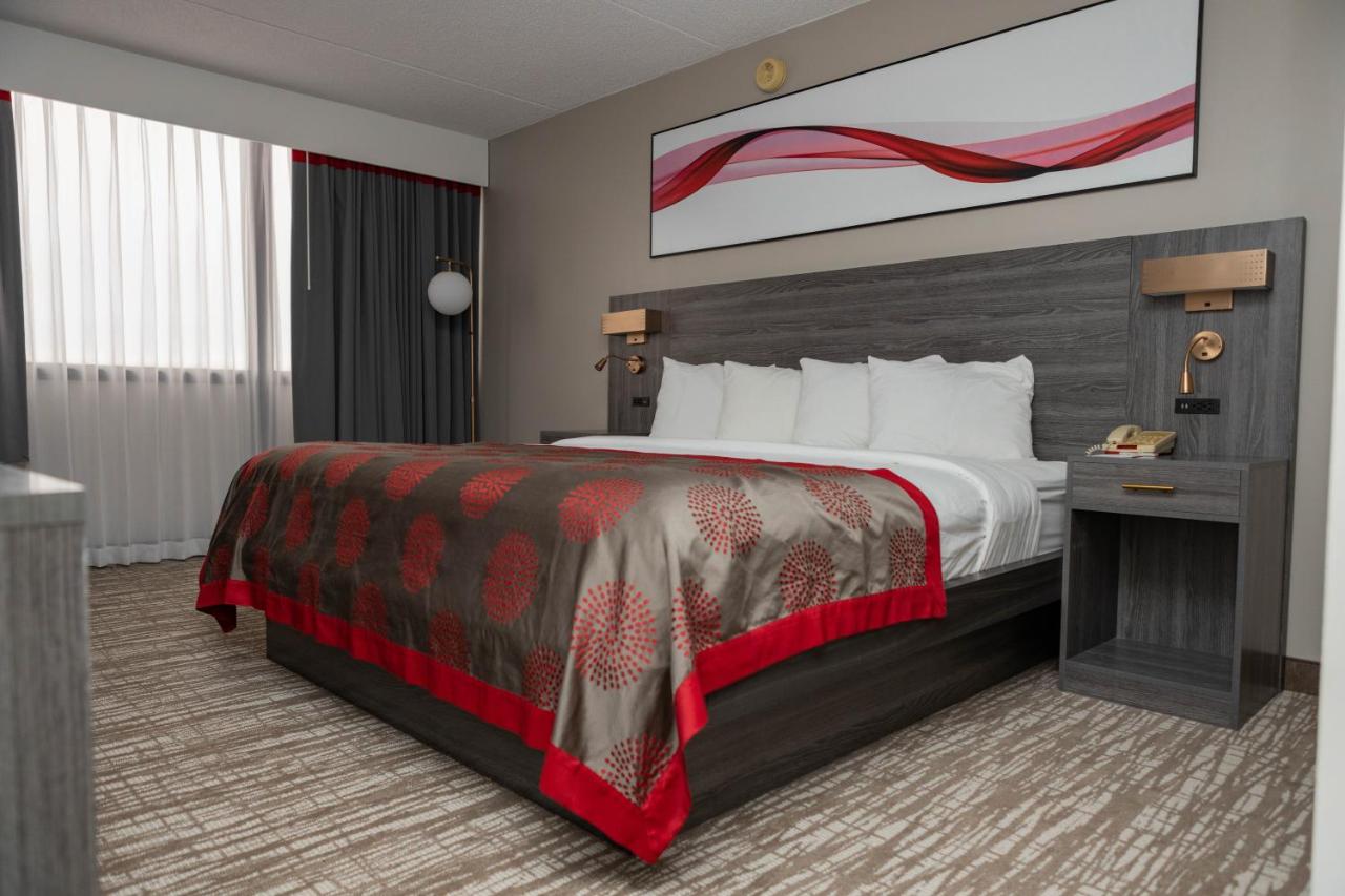 King Room - Non-Smoking at Ramada by Wyndham Cedar Rapids