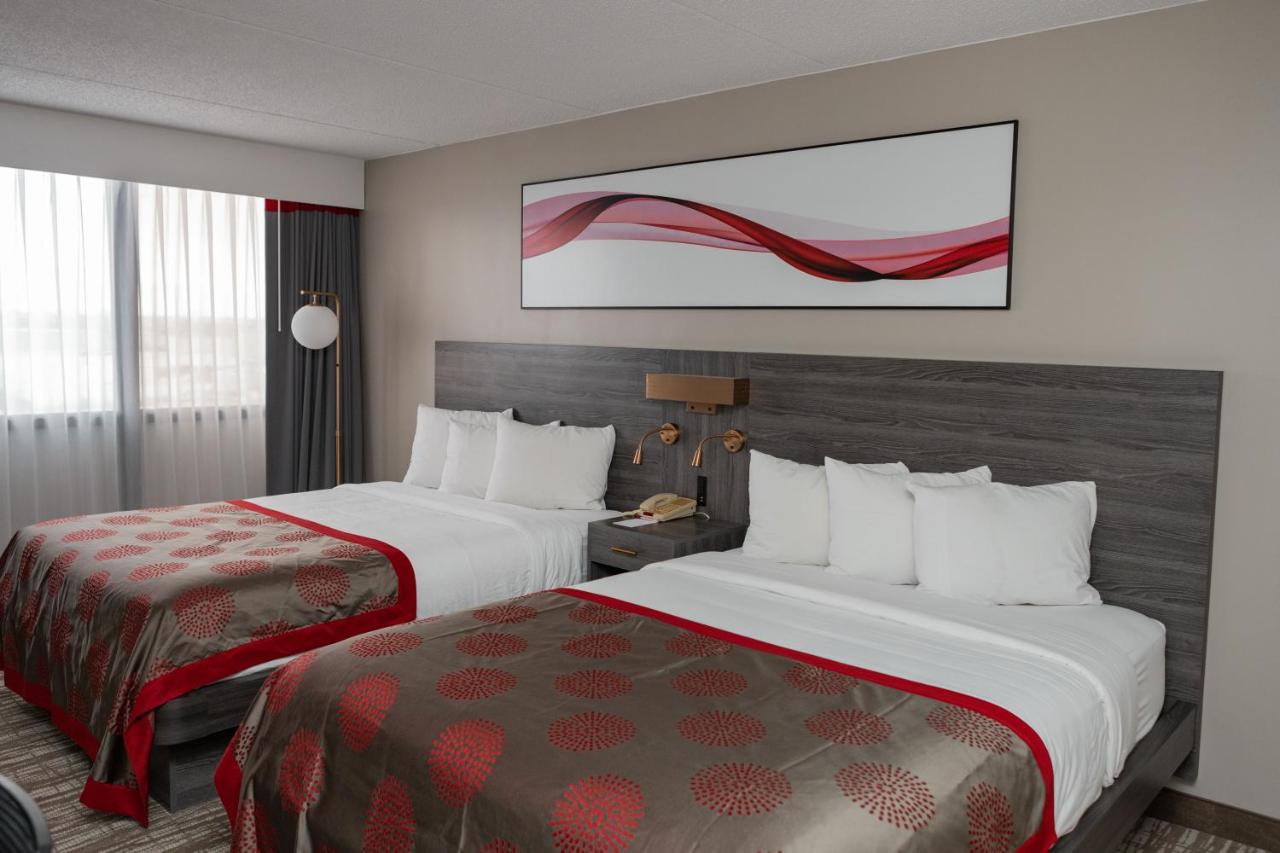 Executive Queen Room with Two Queen Beds - Non-Smoking at Ramada by Wyndham Cedar Rapids