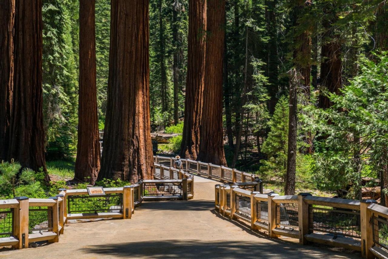 | Fairfield Inn & Suites by Marriott Oakhurst Yosemite