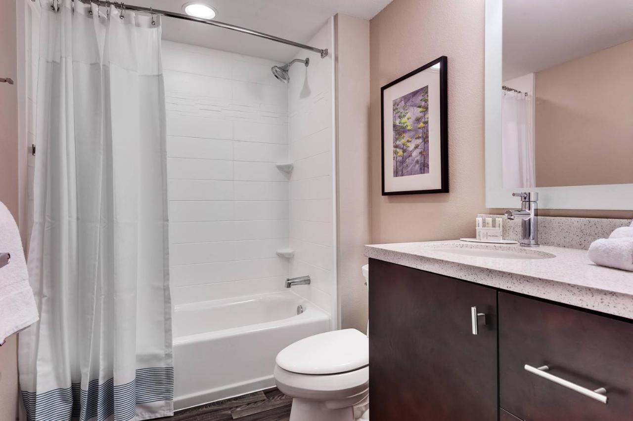 1 Bedroom Suite, 1 Queen, Sofa bed at TownePlace Suites by Marriott Austin Parmer/Tech Ridge