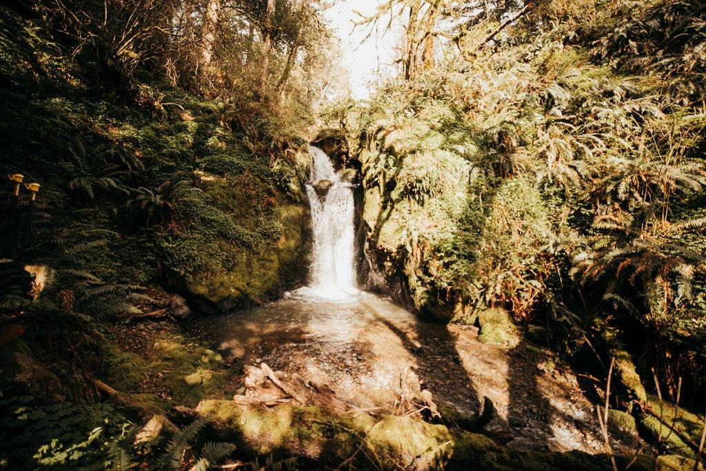  | Taylor Creek Lodge