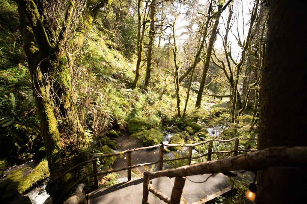  | Taylor Creek Lodge