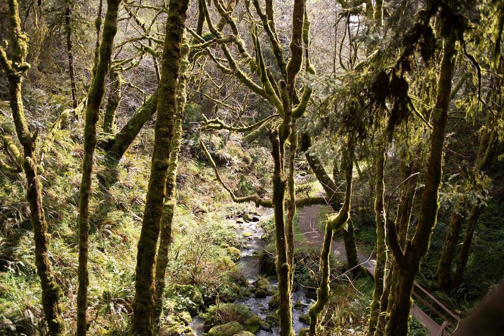  | Taylor Creek Lodge