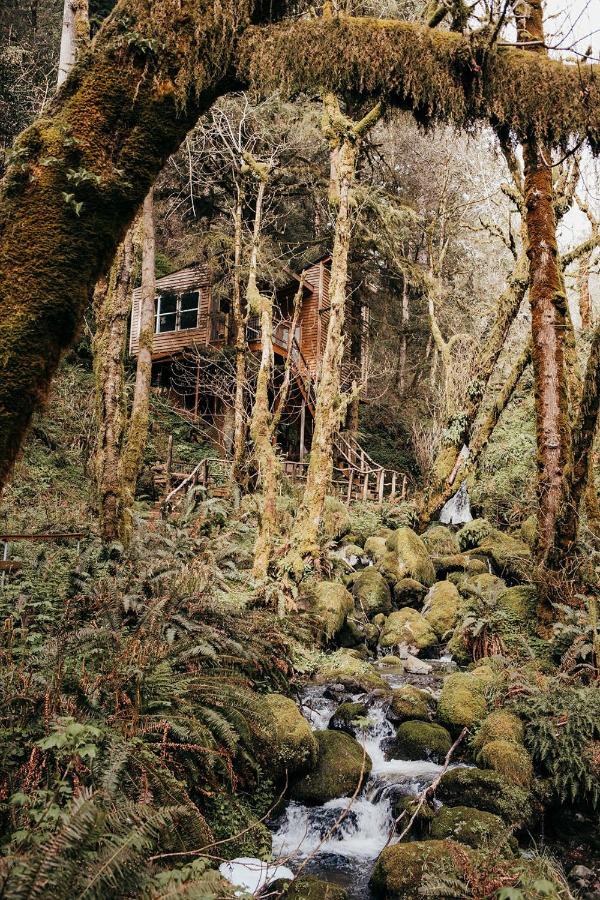  | Taylor Creek Lodge