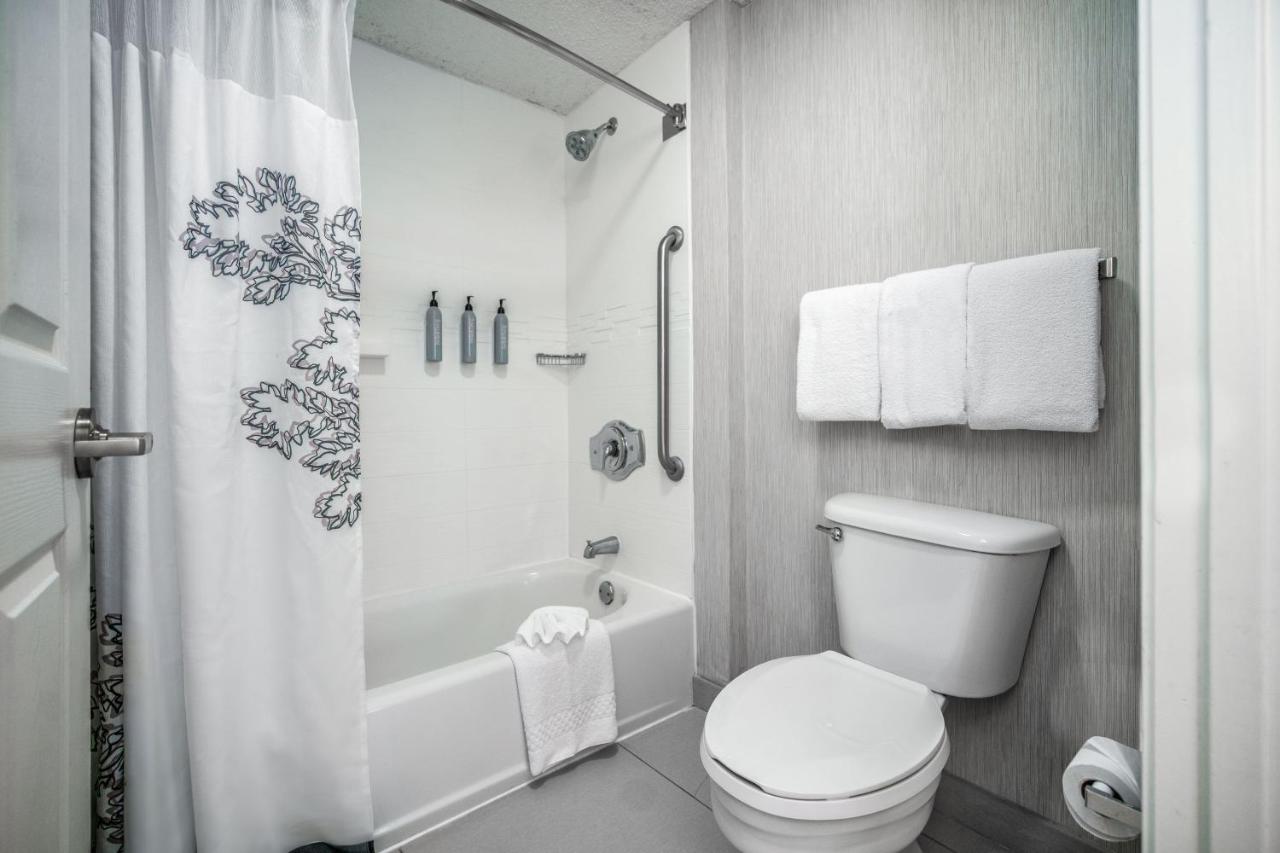 One-Bedroom Queen Suite with Sofa Bed at Residence Inn by Marriott McAllen