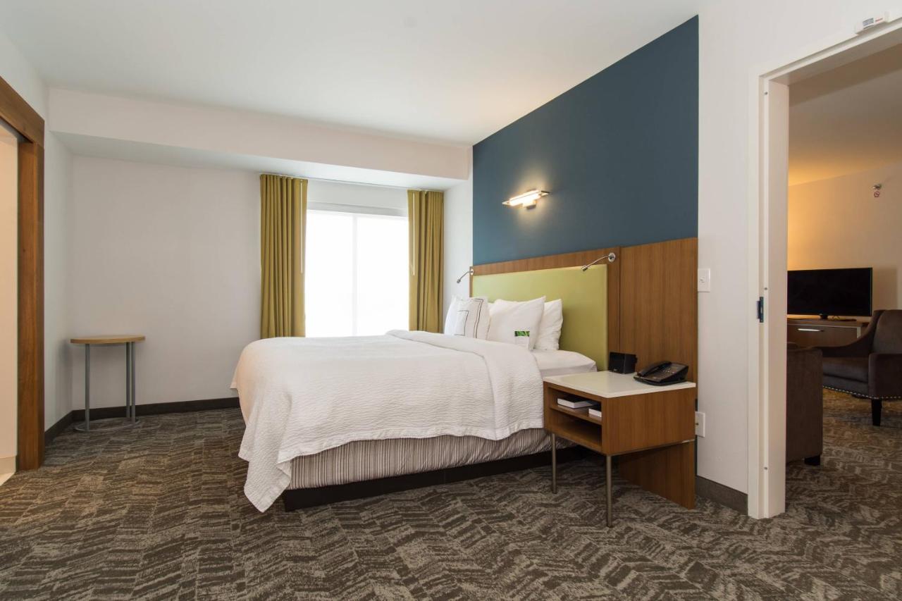| SpringHill Suites by Marriott Charlotte Ballantyne