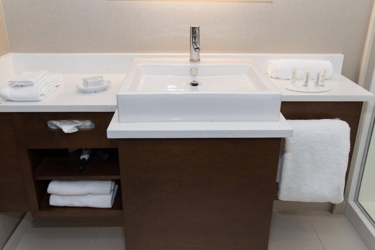 1 Bedroom Suite, 1 King, Sofa beds: 2 at SpringHill Suites by Marriott Charlotte Ballantyne
