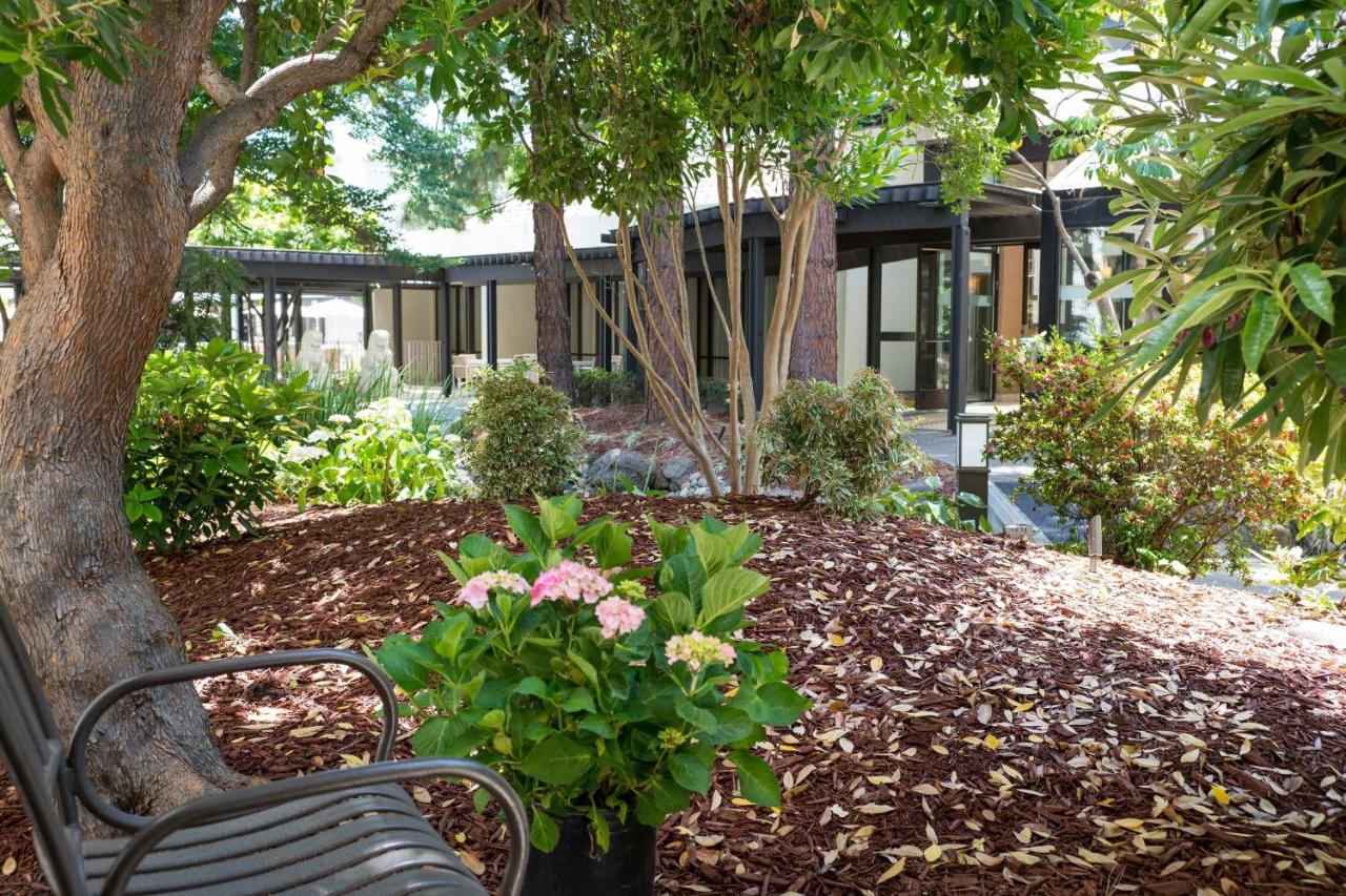 | Sheraton Palo Alto Hotel