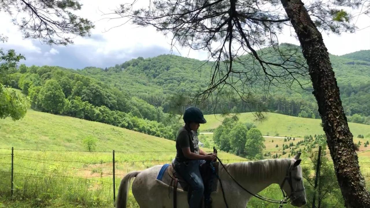 | Arrowmont Stables & Cabins