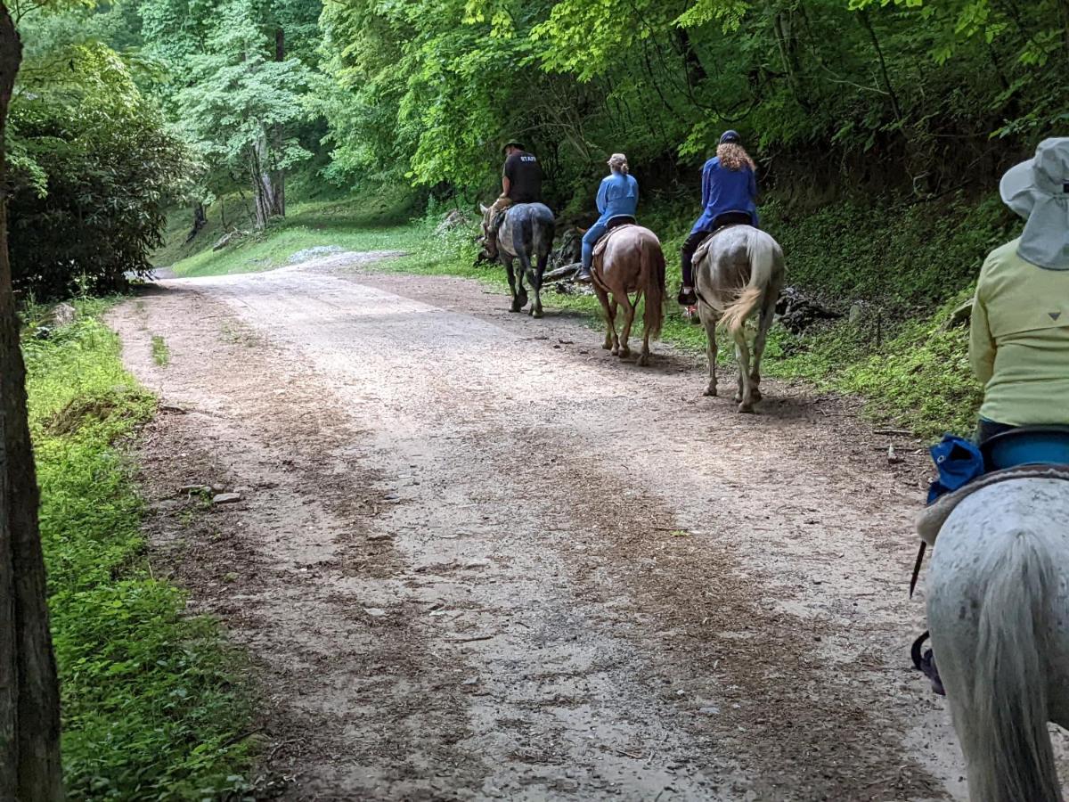 | Arrowmont Stables & Cabins