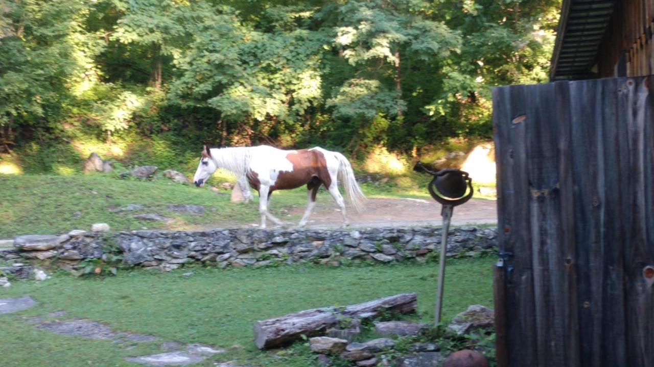 | Arrowmont Stables & Cabins
