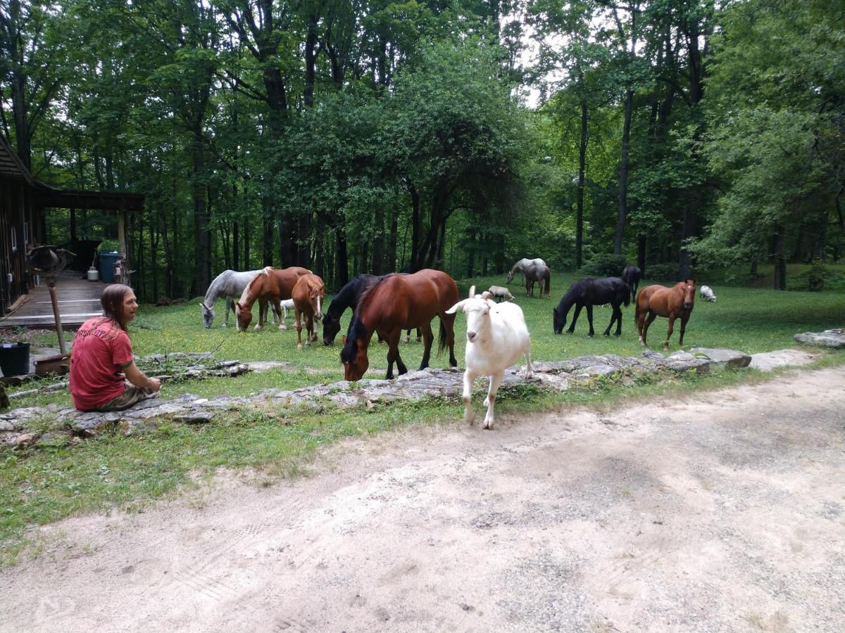 | Arrowmont Stables & Cabins
