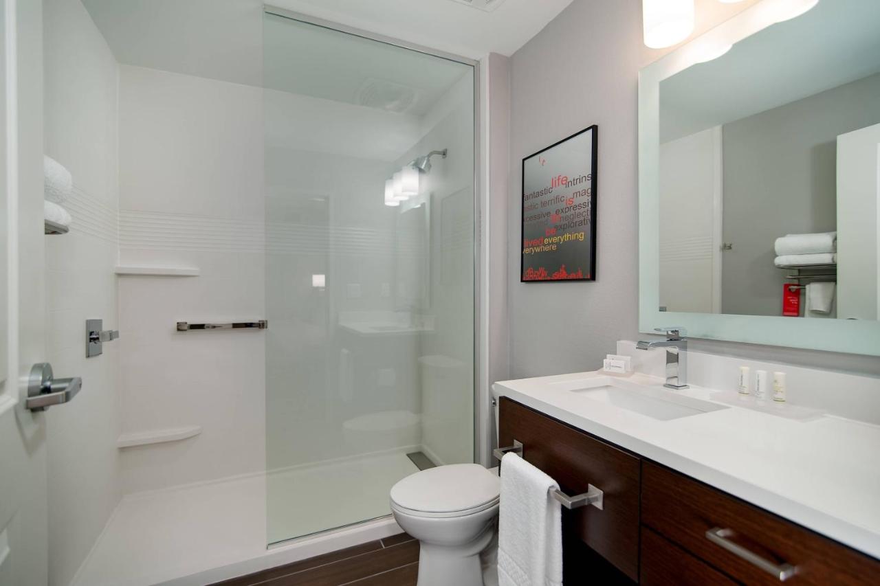 King Studio with Sofa Bed at TownePlace Suites Fort Worth University Area/Medical Center
