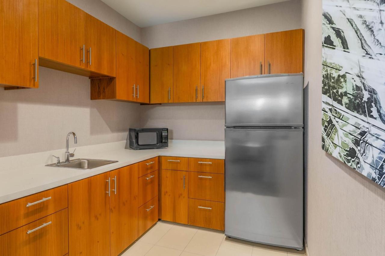 One-Bedroom Suite at SpringHill Suites by Marriott San Jose Fremont