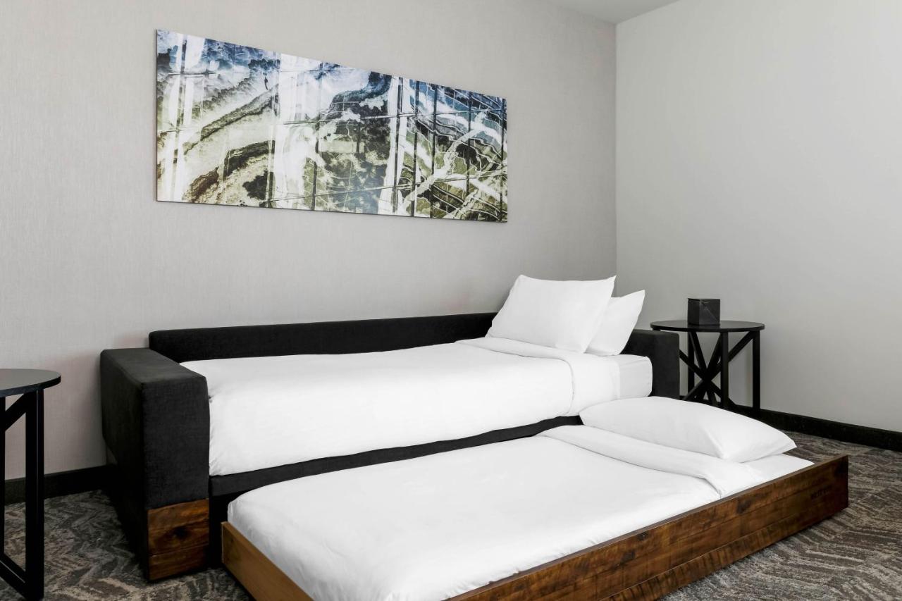 King Suite with Sofa Bed and Trundle Bed - Hearing Accessible at SpringHill Suites by Marriott San Jose Fremont