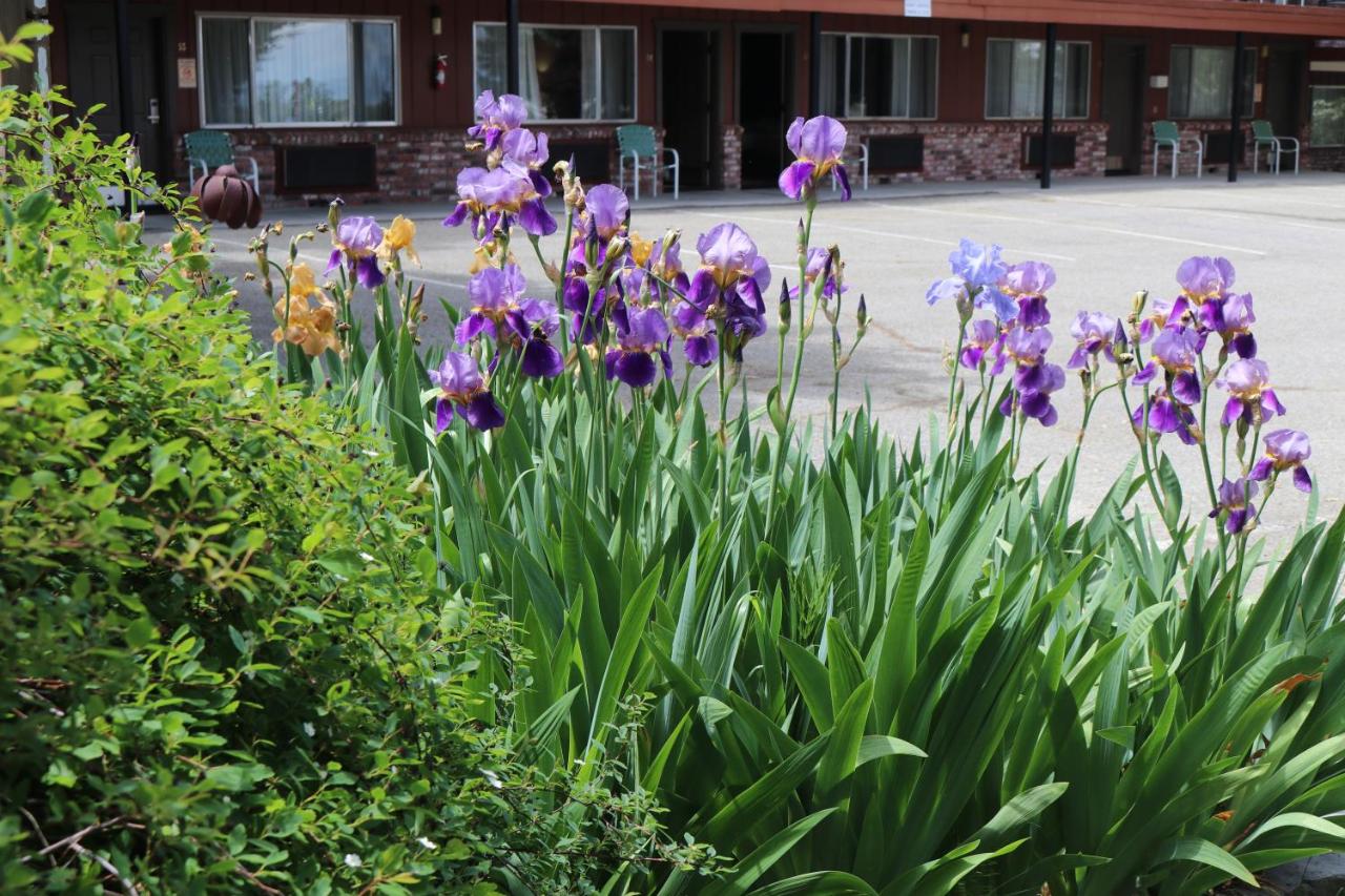 | Lake View Lodge