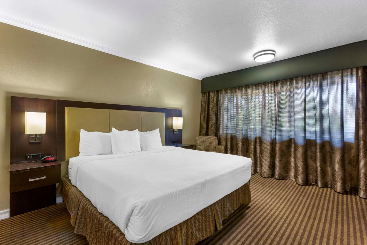  | Best Western Royal Sun Inn & Suites