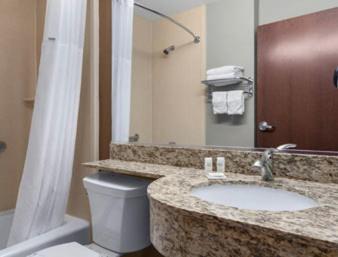 Queen Studio Suite - Mobility Access/Non-Smoking at Microtel Inn & Suites by Wyndham Wheeler Ridge