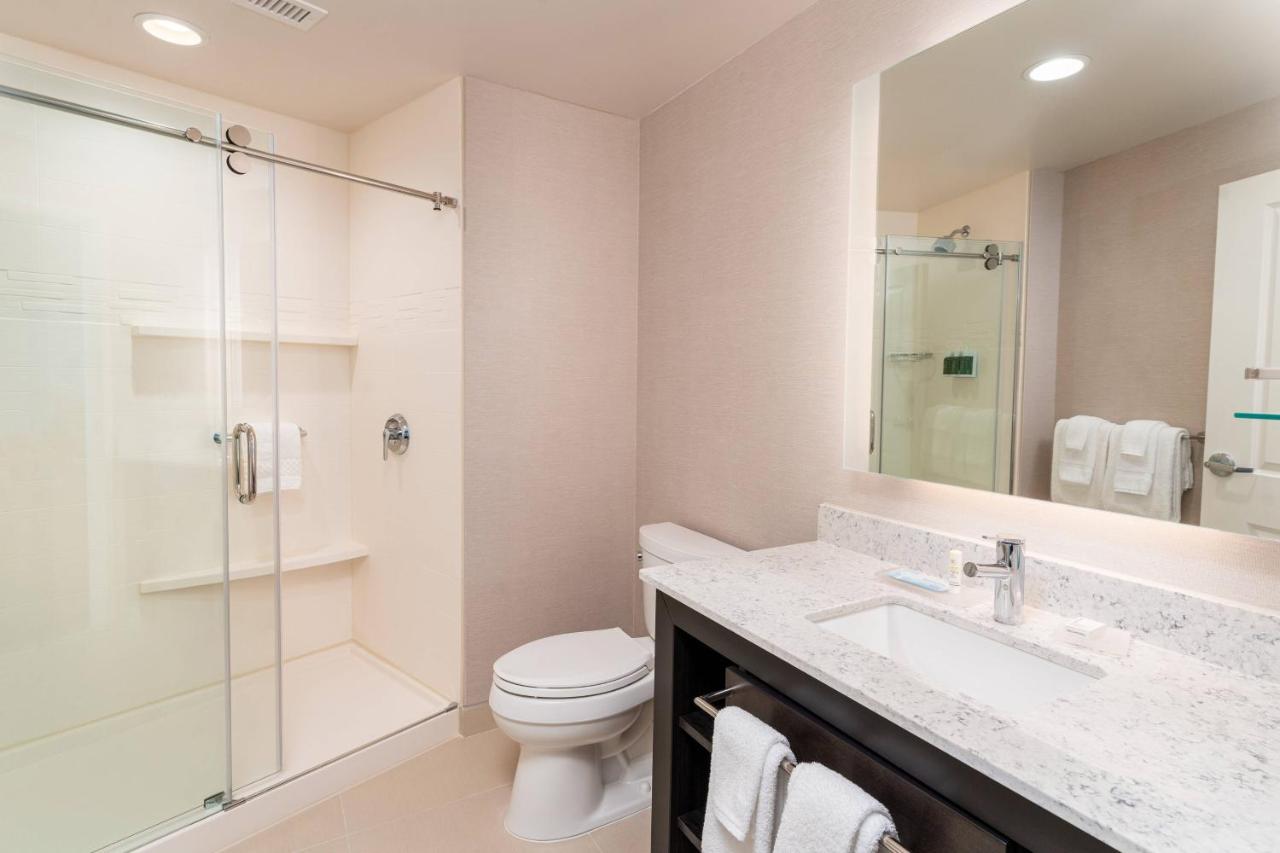 Studio Suite, 1 King, Sofa bed, City view at Residence Inn by Marriott Grand Rapids Downtown
