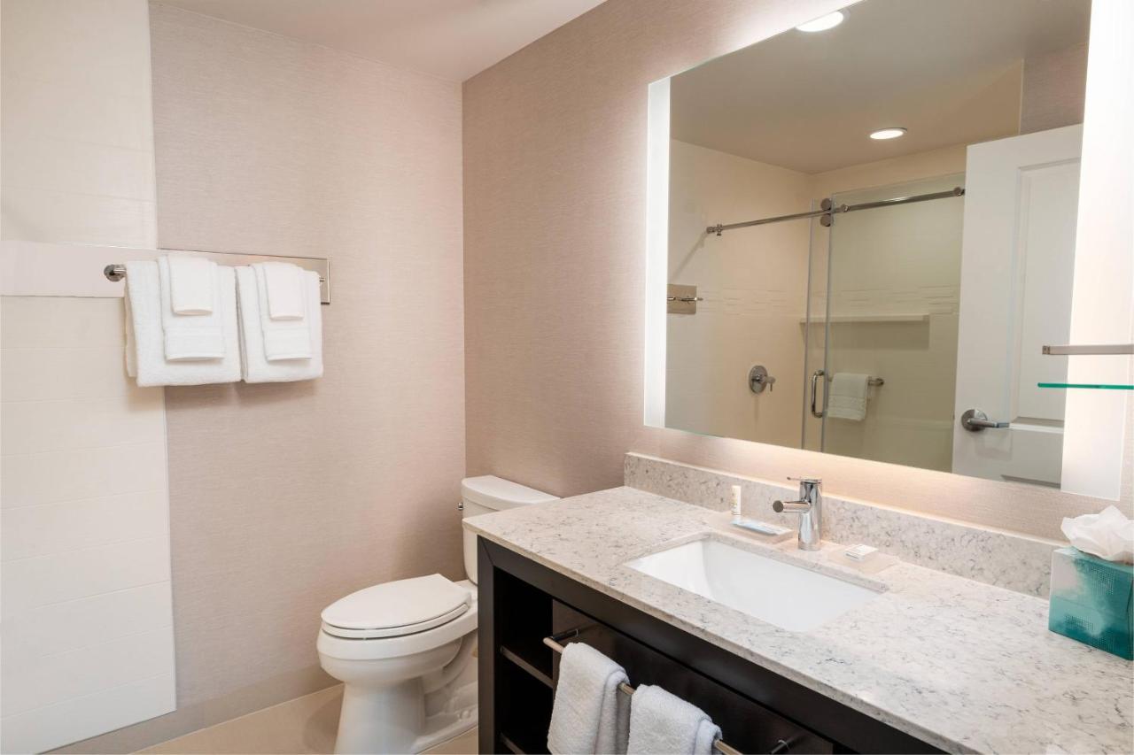 One-Bedroom King Suite with Sofa Bed at Residence Inn by Marriott Grand Rapids Downtown