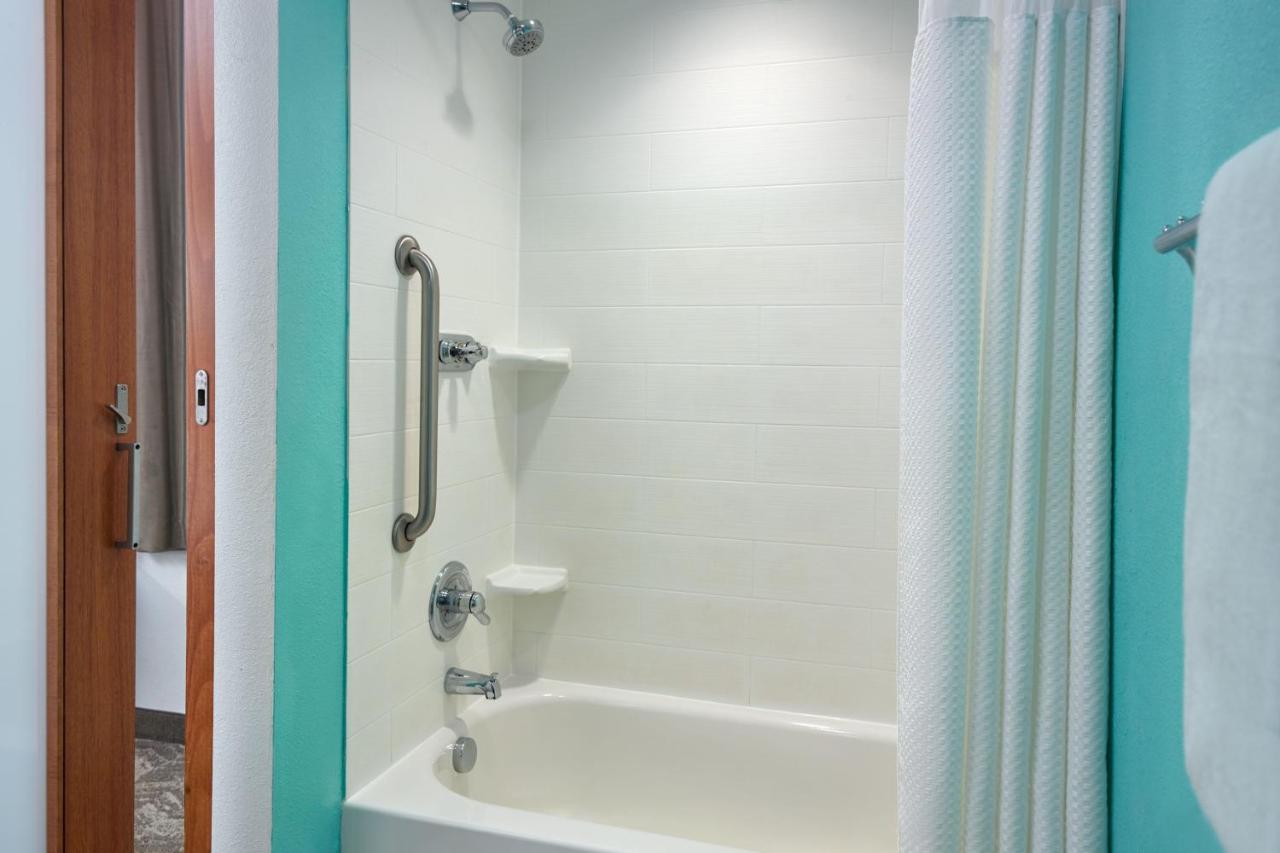 Queen Studio with Sofa Bed at SpringHill Suites by Marriott Orlando at SeaWorld