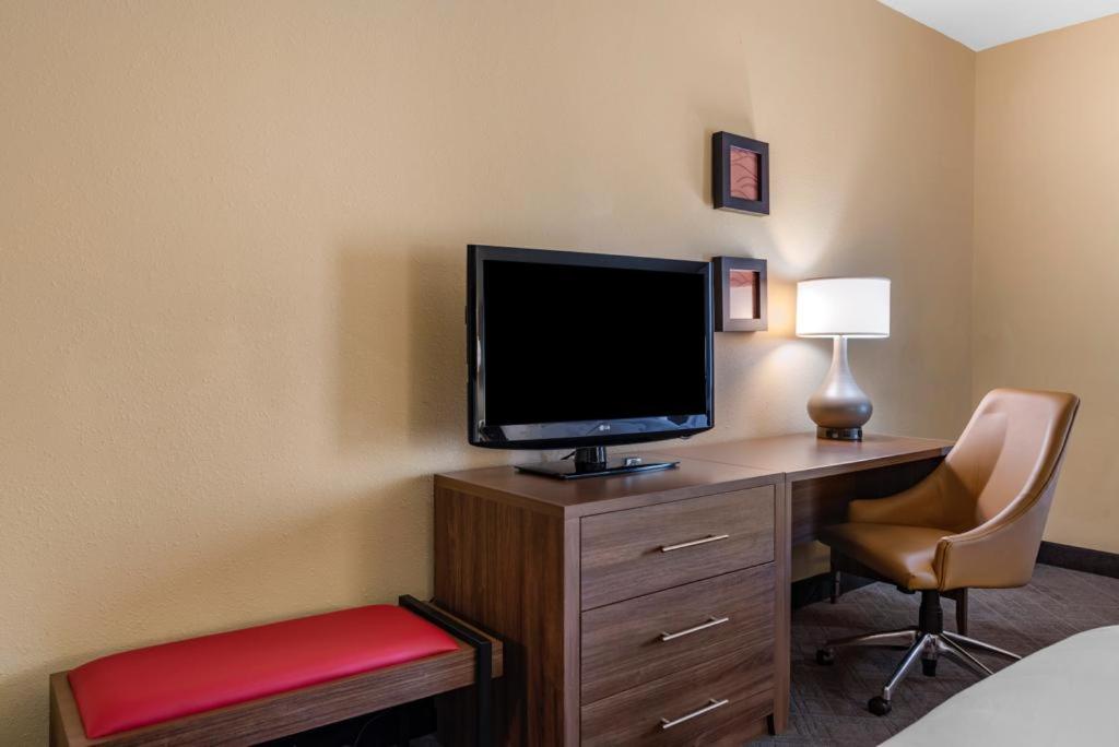 Queen Suite - Non-Smoking at Comfort Inn & Suites at Stone Mountain