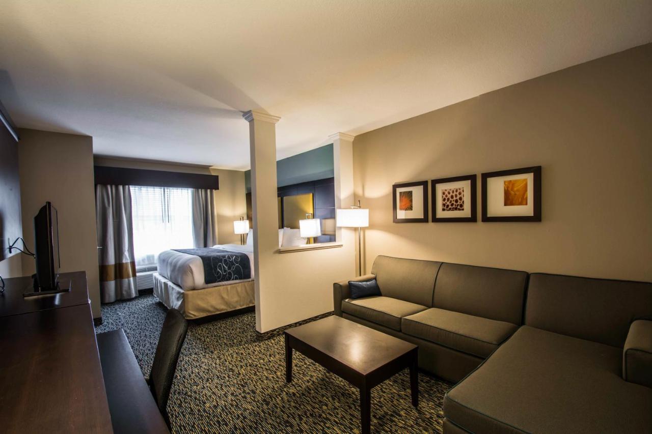 King Suite with Shower at Comfort Suites Fort Lauderdale Airport South & Cruise Port