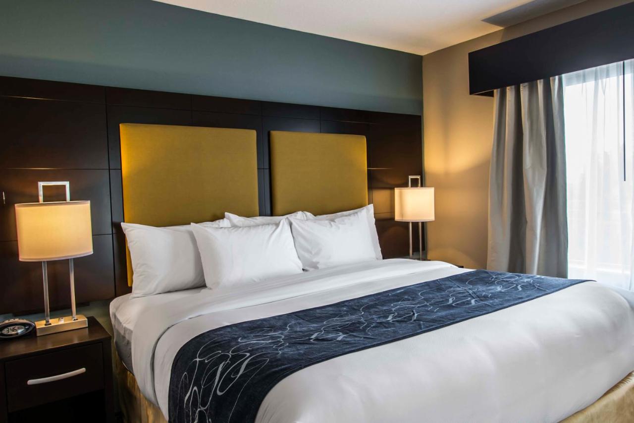 King Suite with Shower at Comfort Suites Fort Lauderdale Airport South & Cruise Port