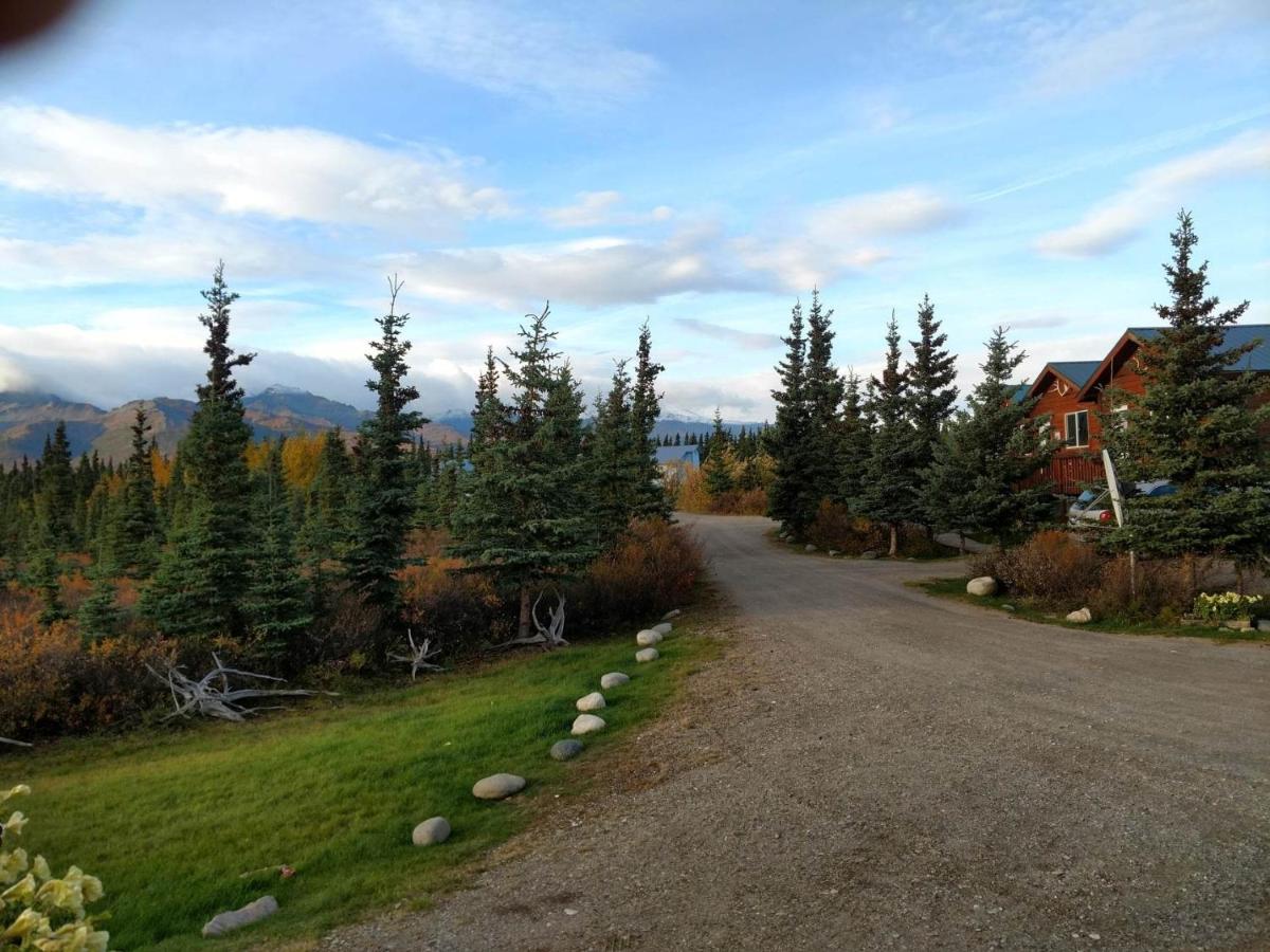 | Alaskan Spruce Cabins
