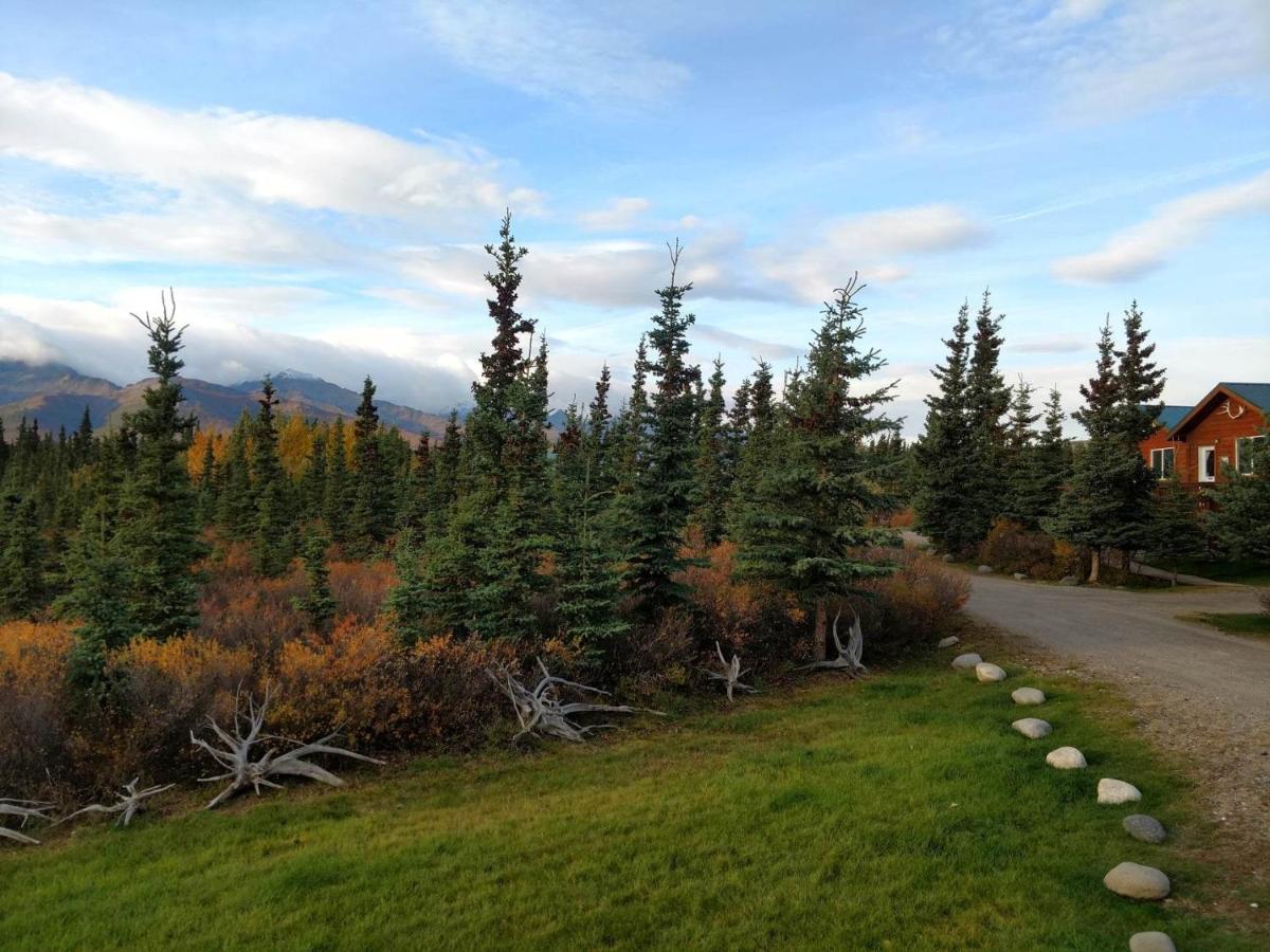 | Alaskan Spruce Cabins