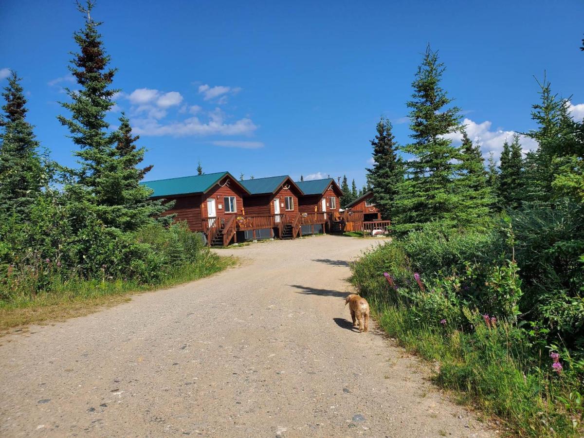 | Alaskan Spruce Cabins